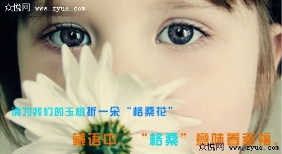 请给我们的玉树一朵“格桑花” 请给我们的玉树一朵“格桑花”